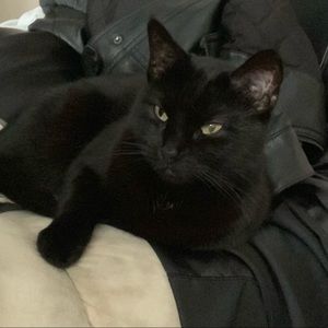 Meet your Posher, Crystal